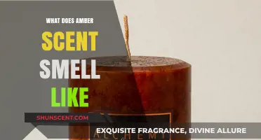 Unveiling the Enchanting Essence: What Does Amber Scent Smell Like?