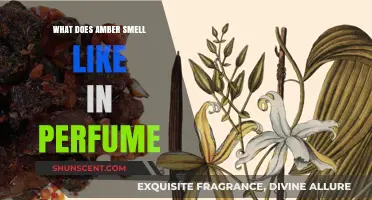 The Sweet Scent of Amber Perfumes