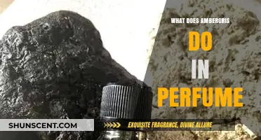 Unveiling Ambergris: Its Mystique and Role in Modern Perfumery