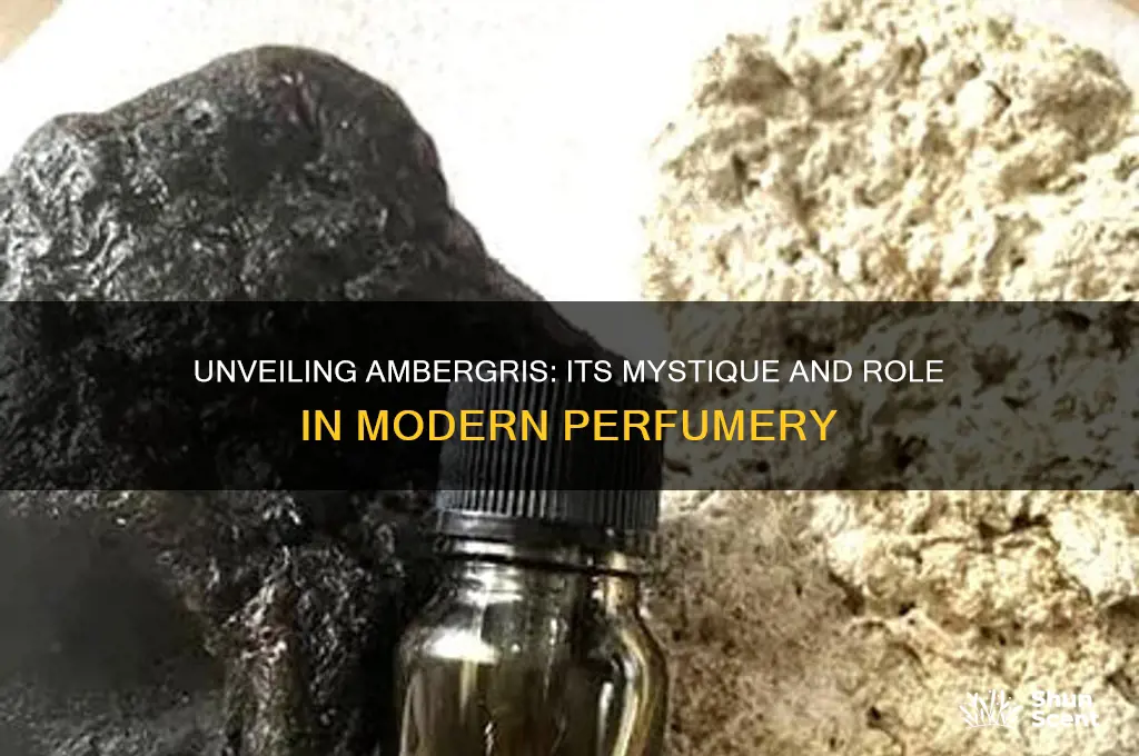what does ambergris do in perfume