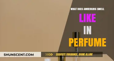 The Unique Smell of Ambergris in Perfumes