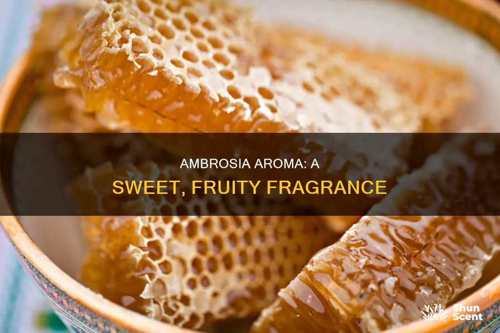 what does ambrosia aroma smell like