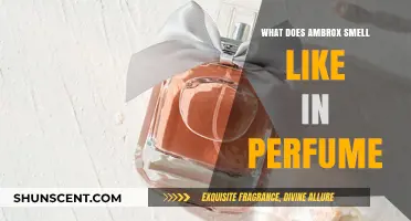 The Alluring Scent of Ambrox in Perfumes