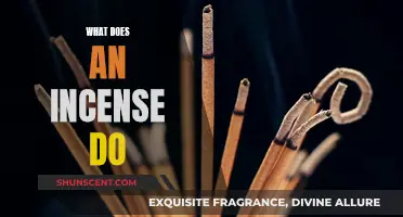 Incense 101: Fragrance, Relaxation, and Spirituality