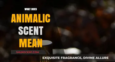 Decoding the Essence: What Does an Animalic Scent Mean?