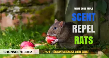 Natural Pest Control: How Apple Scents Can Repel Rats