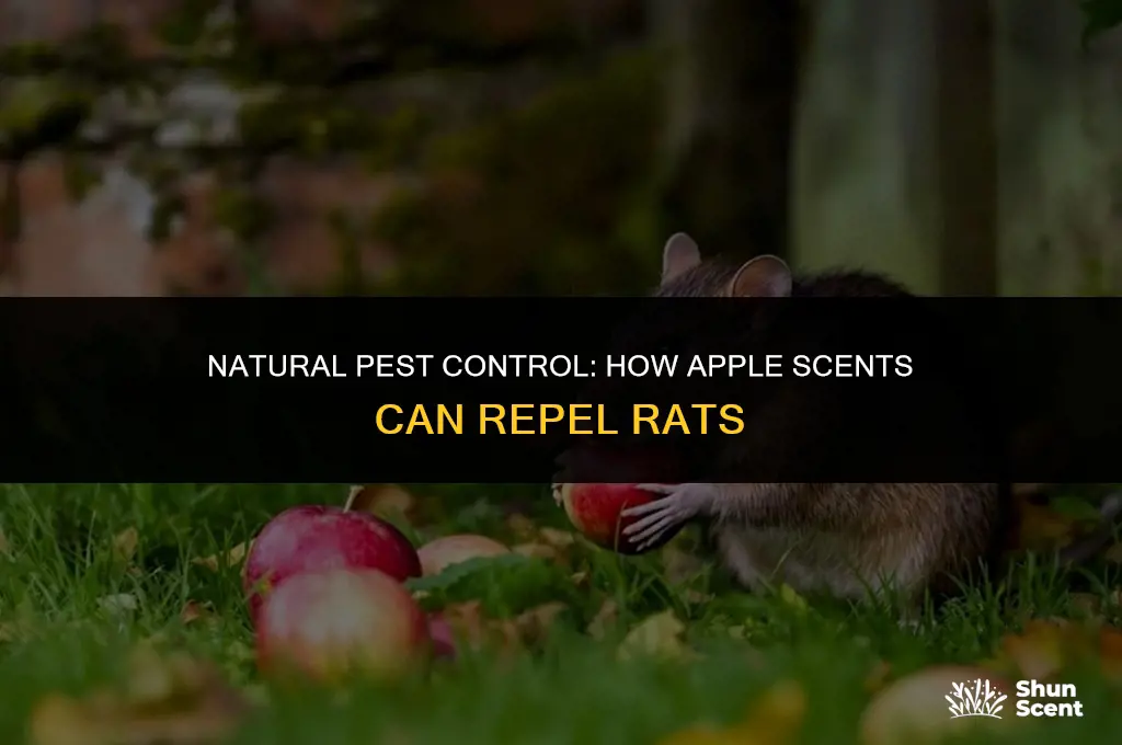 what does apple scent repel rats