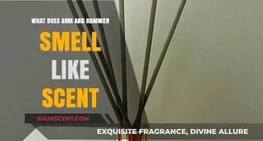 Unveiling the Fresh, Clean Aroma of Arm & Hammer