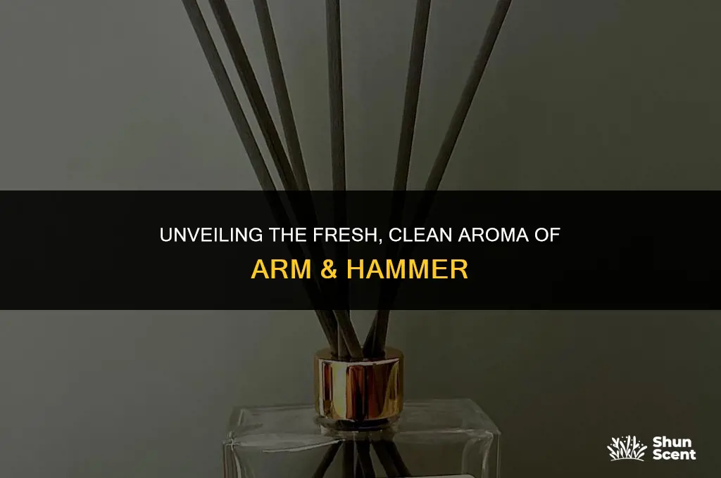 what does arm and hammer smell like scent