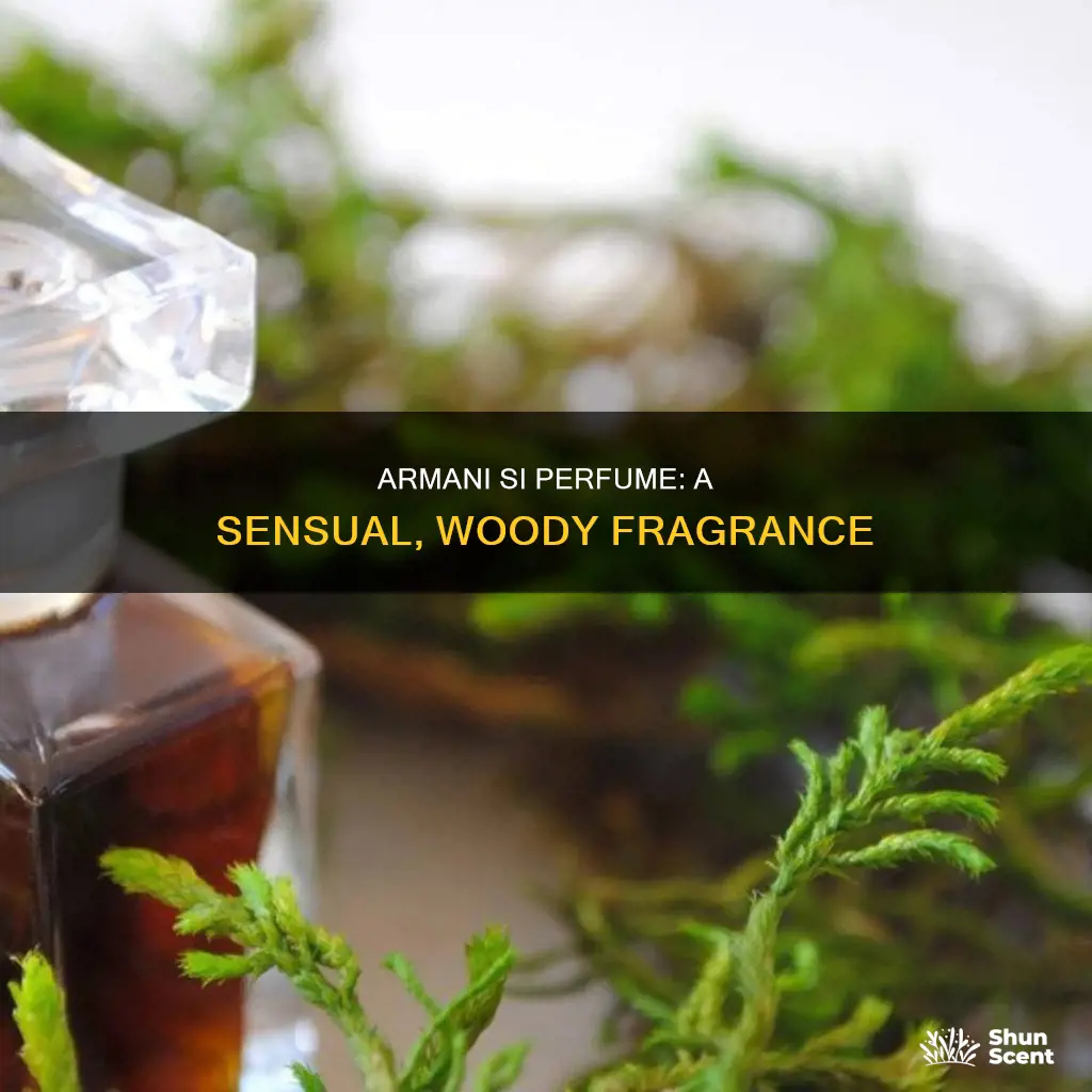 what does armani si perfume smell like