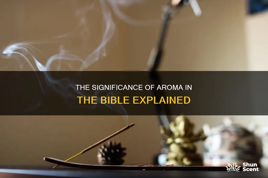 what does aroma mean in the bible