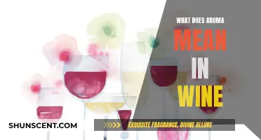 The Intriguing World of Wine Aromas: A Beginner's Guide