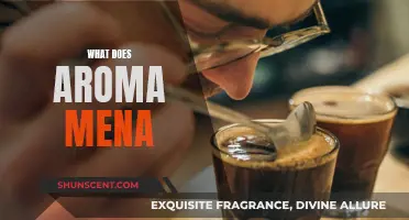 The Aroma Experience: Mena's Fragrance Journey