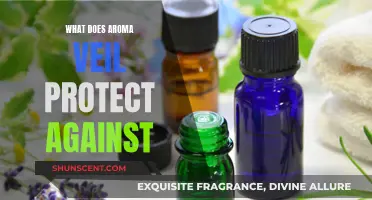 Aroma Veil: Protecting You From Unwanted Odors and More