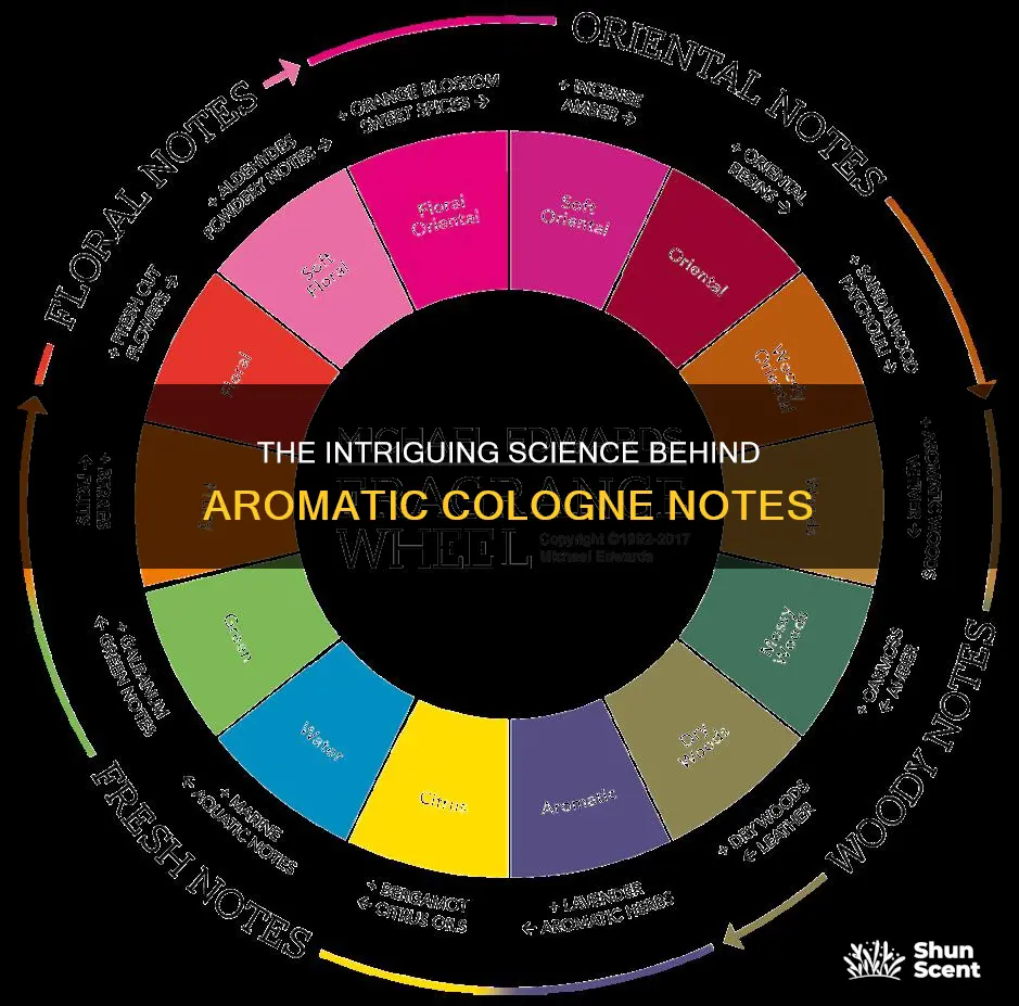 what does aromatic mean in cologne