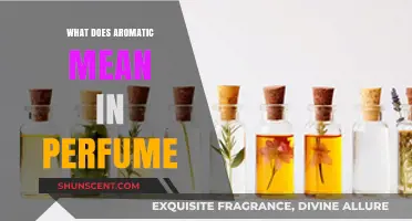 Unveiling the Essence: What Does Aromatic Mean in Perfume?