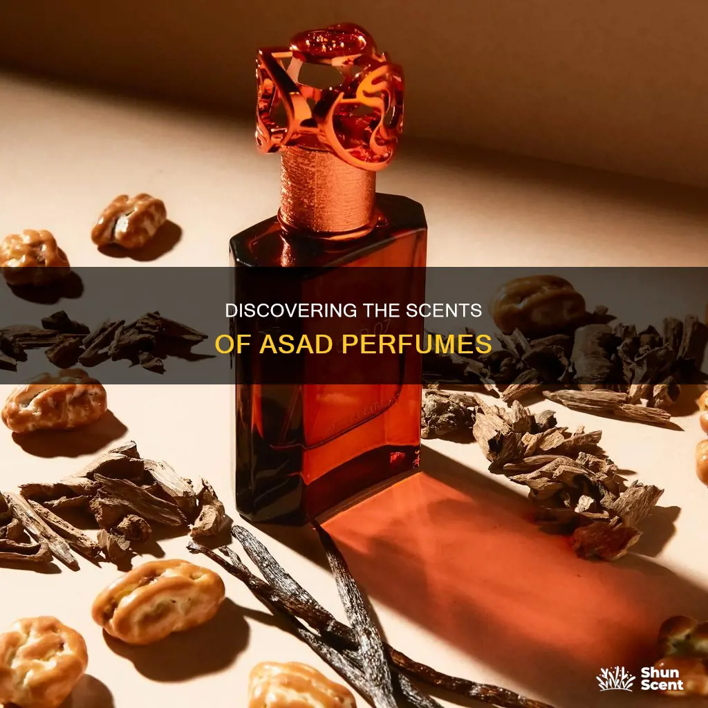 what does asad perfume smell like