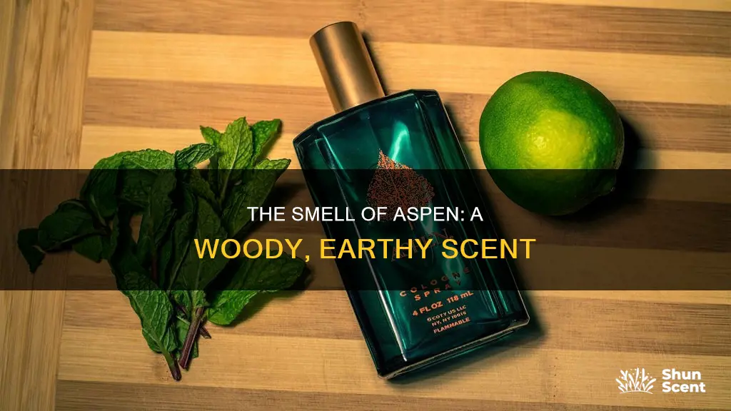 what does aspen cologne smell like