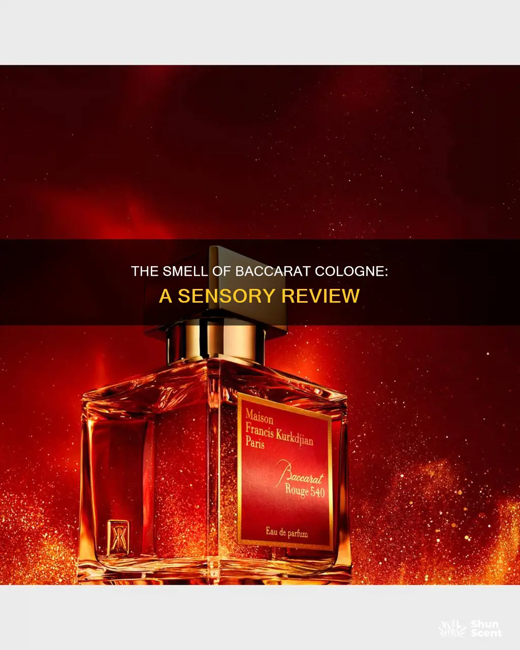 what does baccarat cologne smell like