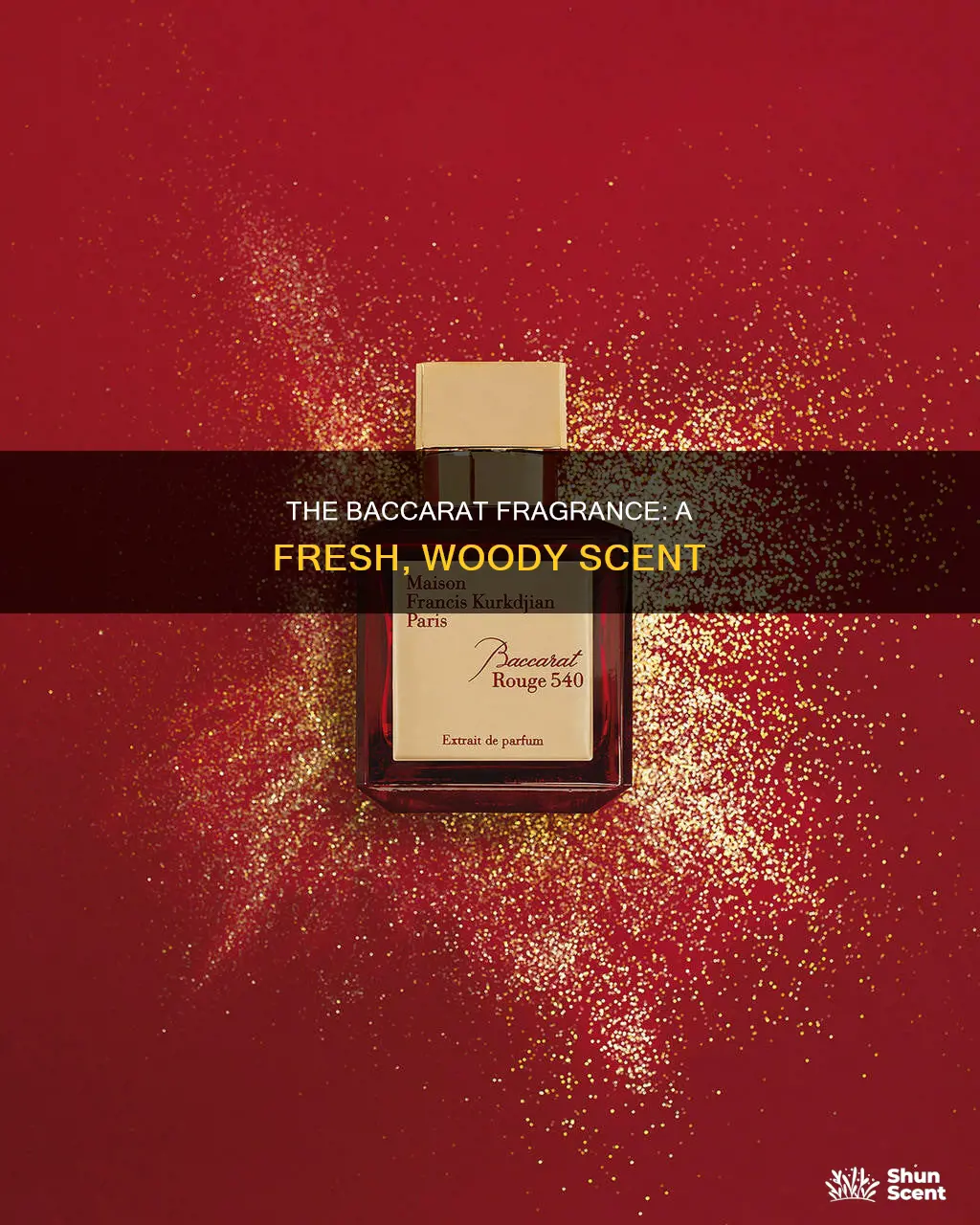 what does baccarat perfume smell like