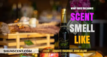 Unveiling the Rich Aromas: What Does Balsamic Scent Smell Like?