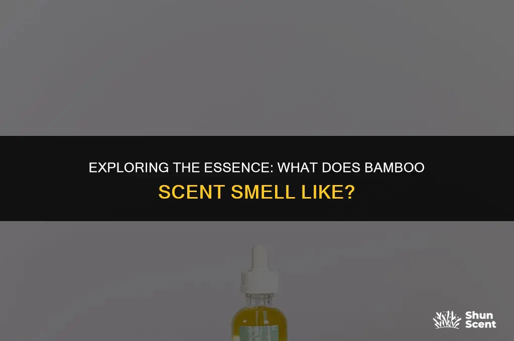 what does bamboo scent smell like