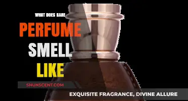 Bare Perfume: The Fragrance Notes Explained