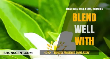 Basil Neroli Perfume: Ideal Fragrance Pairings for a Unique Scent