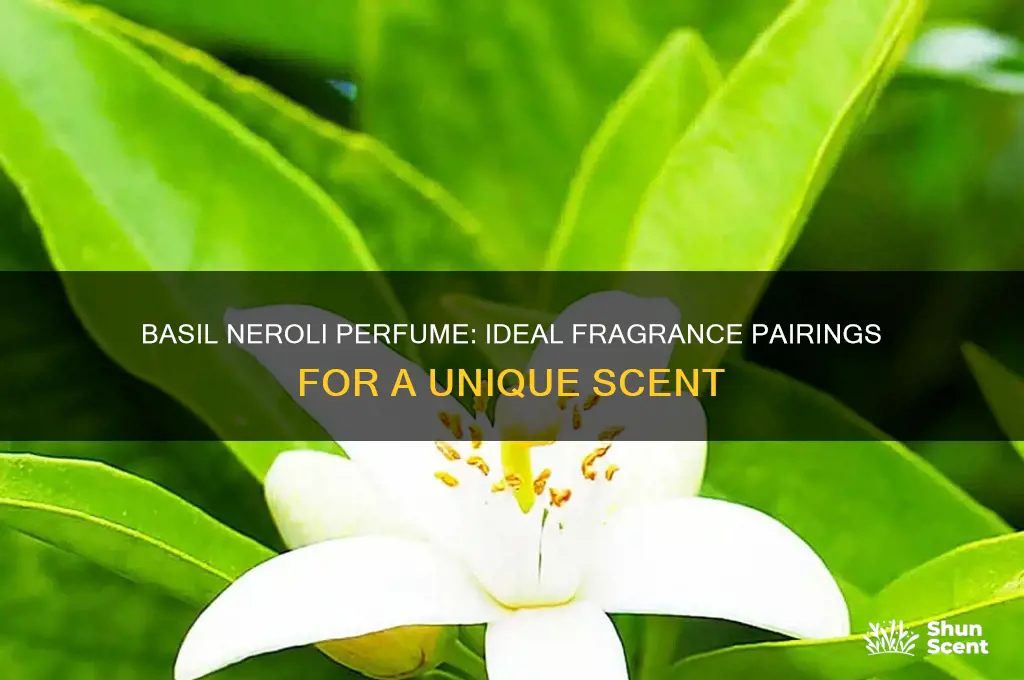 what does basil neroli perfume blend well with