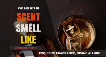Exploring the Aromatic Essence: What Does Bay Rum Scent Smell Like?