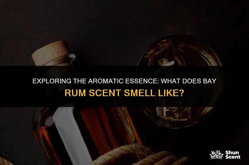 what does bay rum scent smell like