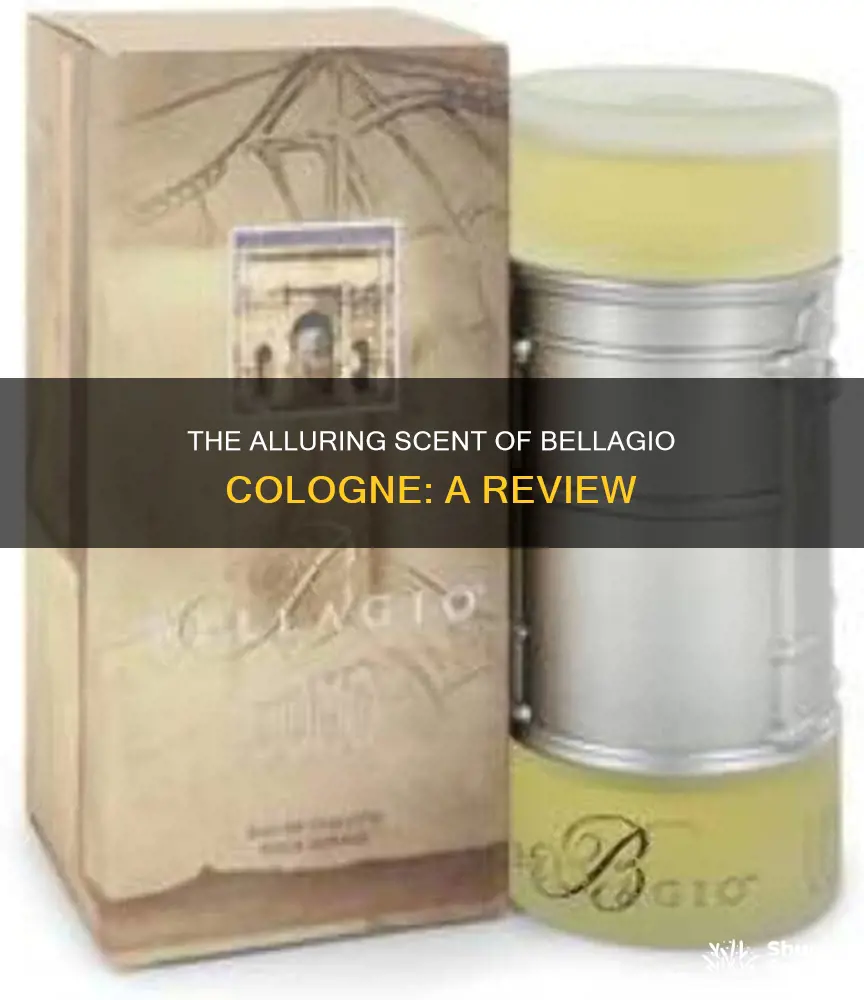 what does bellagio cologne smell like