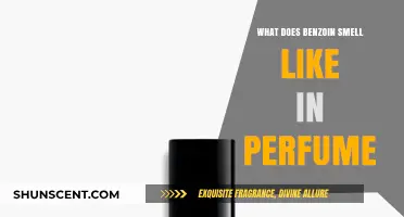 The Sweet, Warm, and Vanilla-like Scent of Benzoin