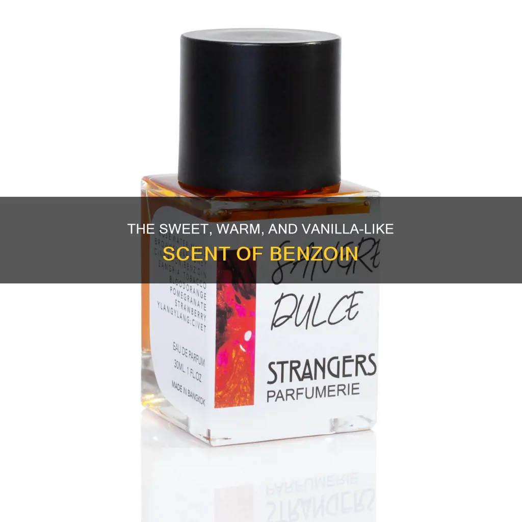 what does benzoin smell like in perfume