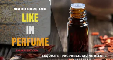 Bergamot's Citrusy Scent in Perfumes