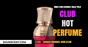 Beverly Hills Polo Club Hot Perfume: A Scent Review