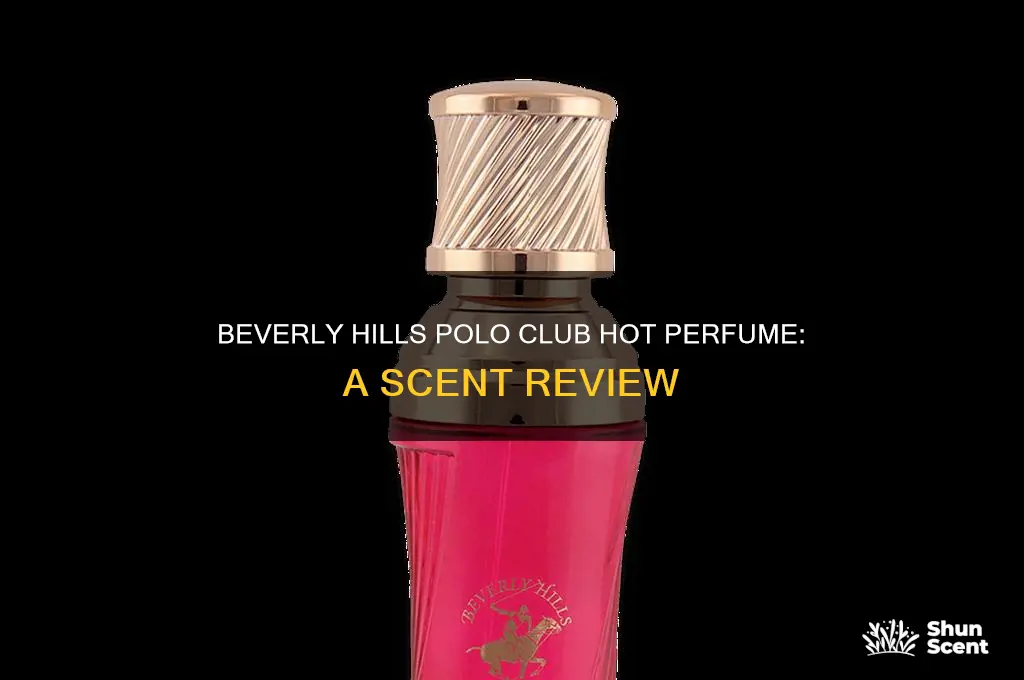 what does beverly hills polo club hot perfume