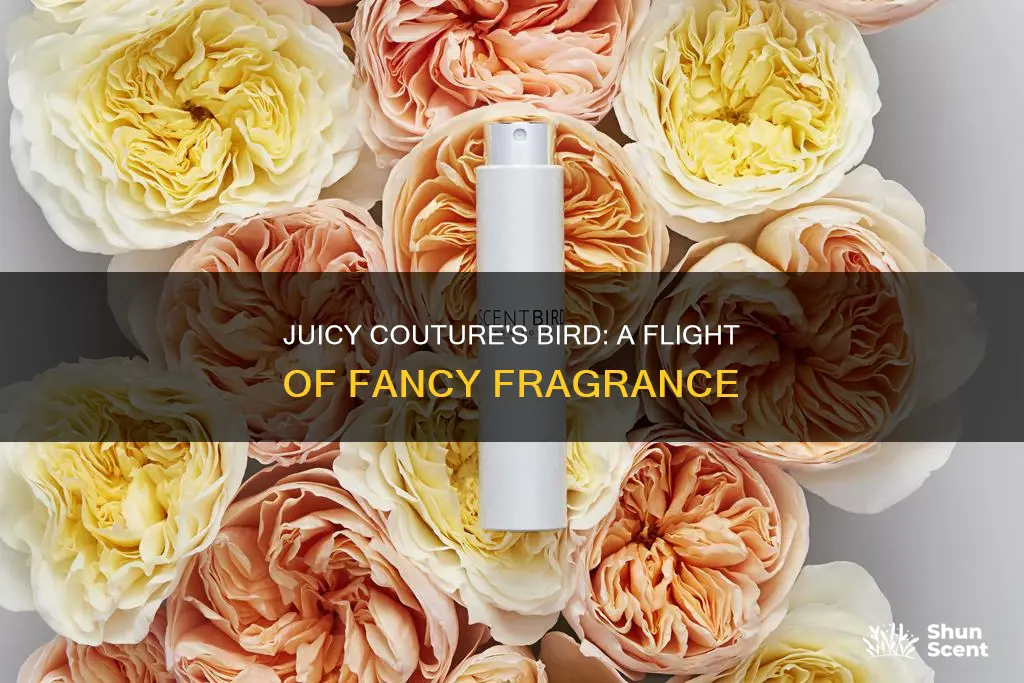 what does bird by juicy couture perfume smell like