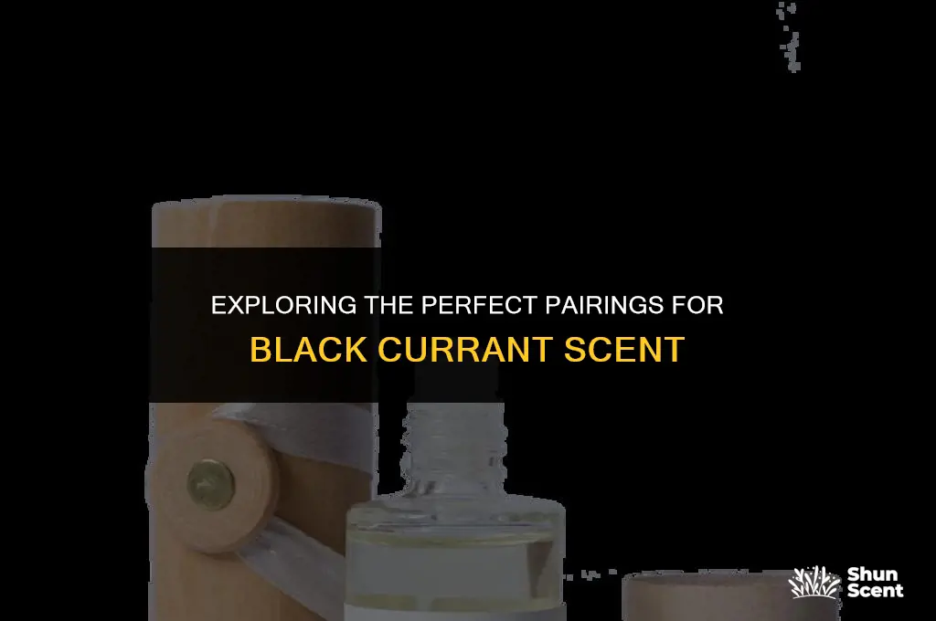 what does black currant scent go with