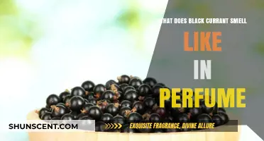 Black Currant Scents: A Perfumed Guide