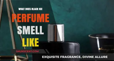 Black Ice Perfume: A Woody, Aromatic Scent