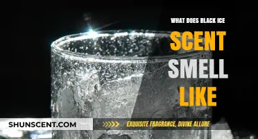 Unveiling the Mysterious Aroma of Black Ice: A Scent Exploration
