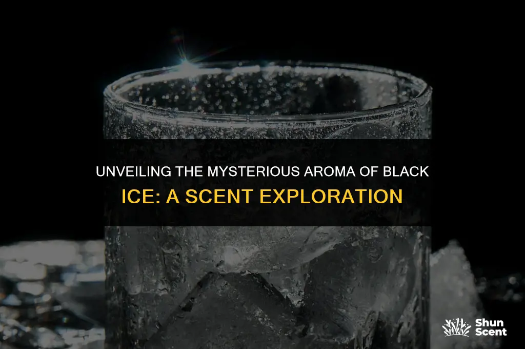 what does black ice scent smell like