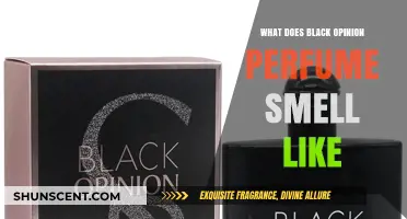 Black Opinion Perfume: The Scent of Luxury