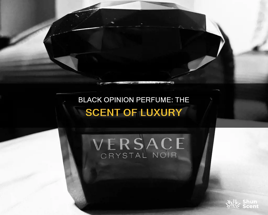 what does black opinion perfume smell like