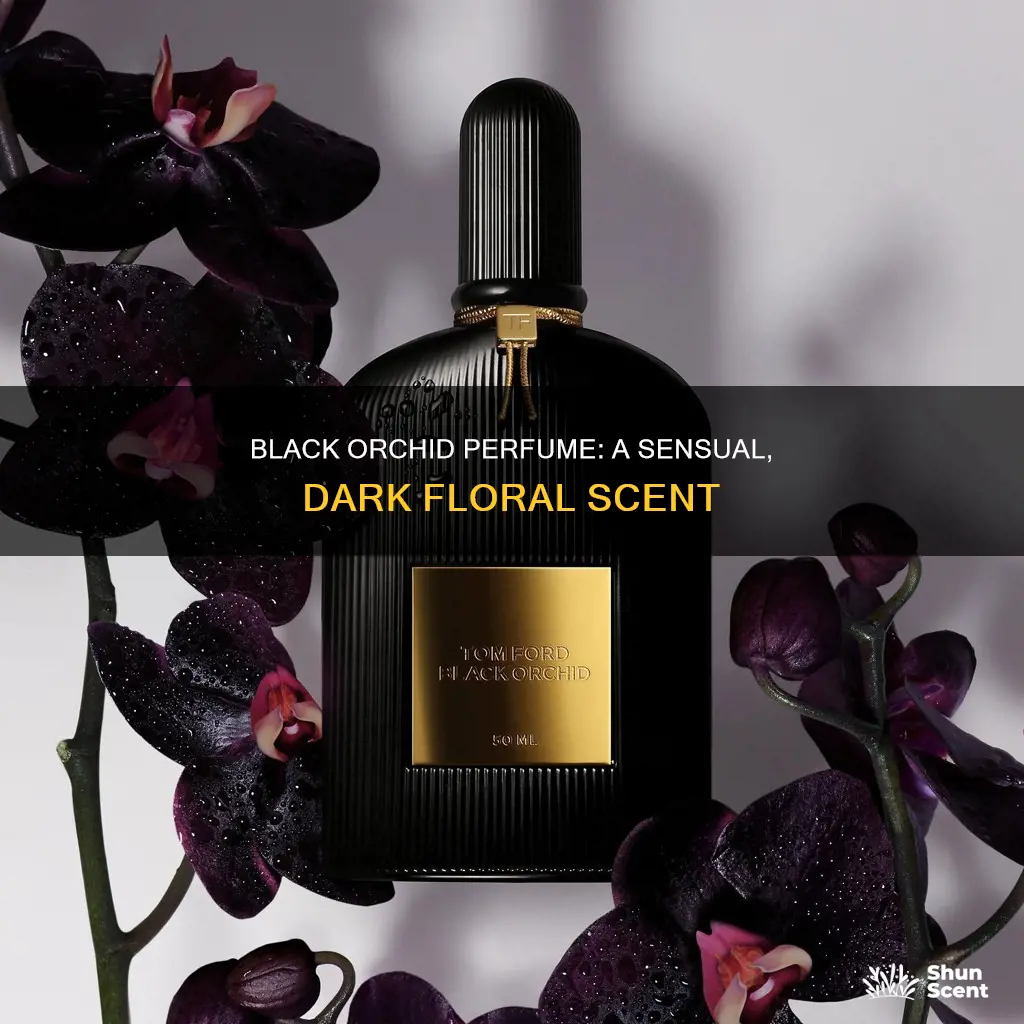 what does black orchid perfume smell like