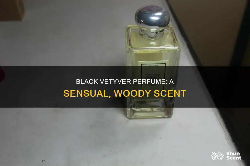 what does black vetyver perfume smell like