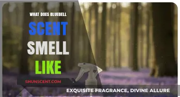 Exploring the Enchanting Essence of Bluebell: A Fragrant Journey