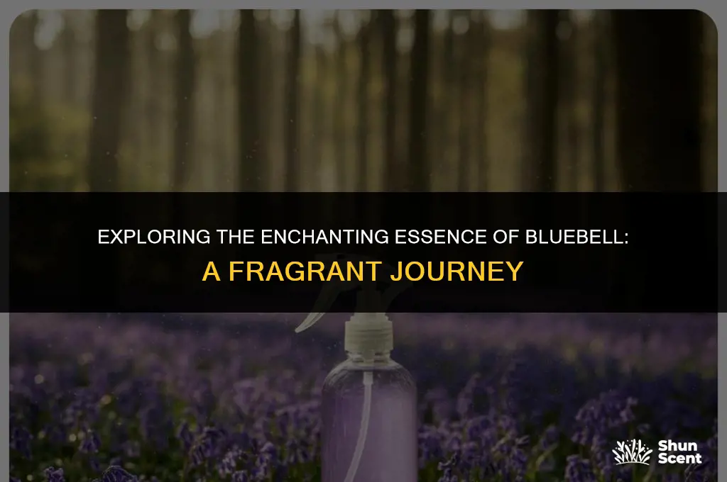 what does bluebell scent smell like