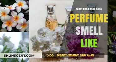 The Sweet Smell of Bora Bora: A Perfume Review